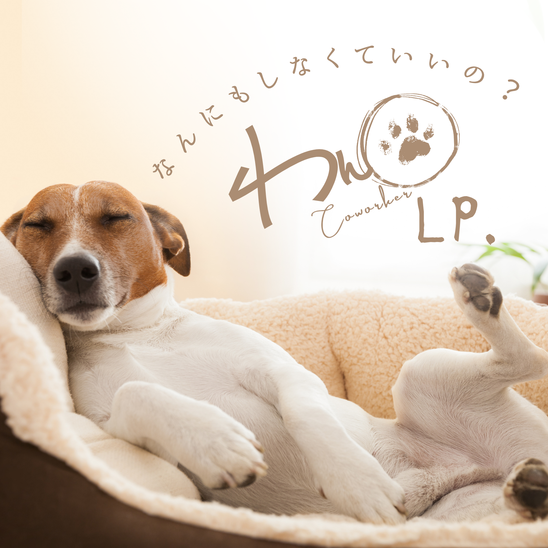 わんCoworker